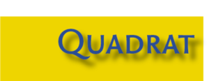 Logo Ausstellung Quadrat